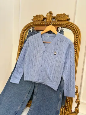 Blue Teddy Embroidered Cardigan (XS)