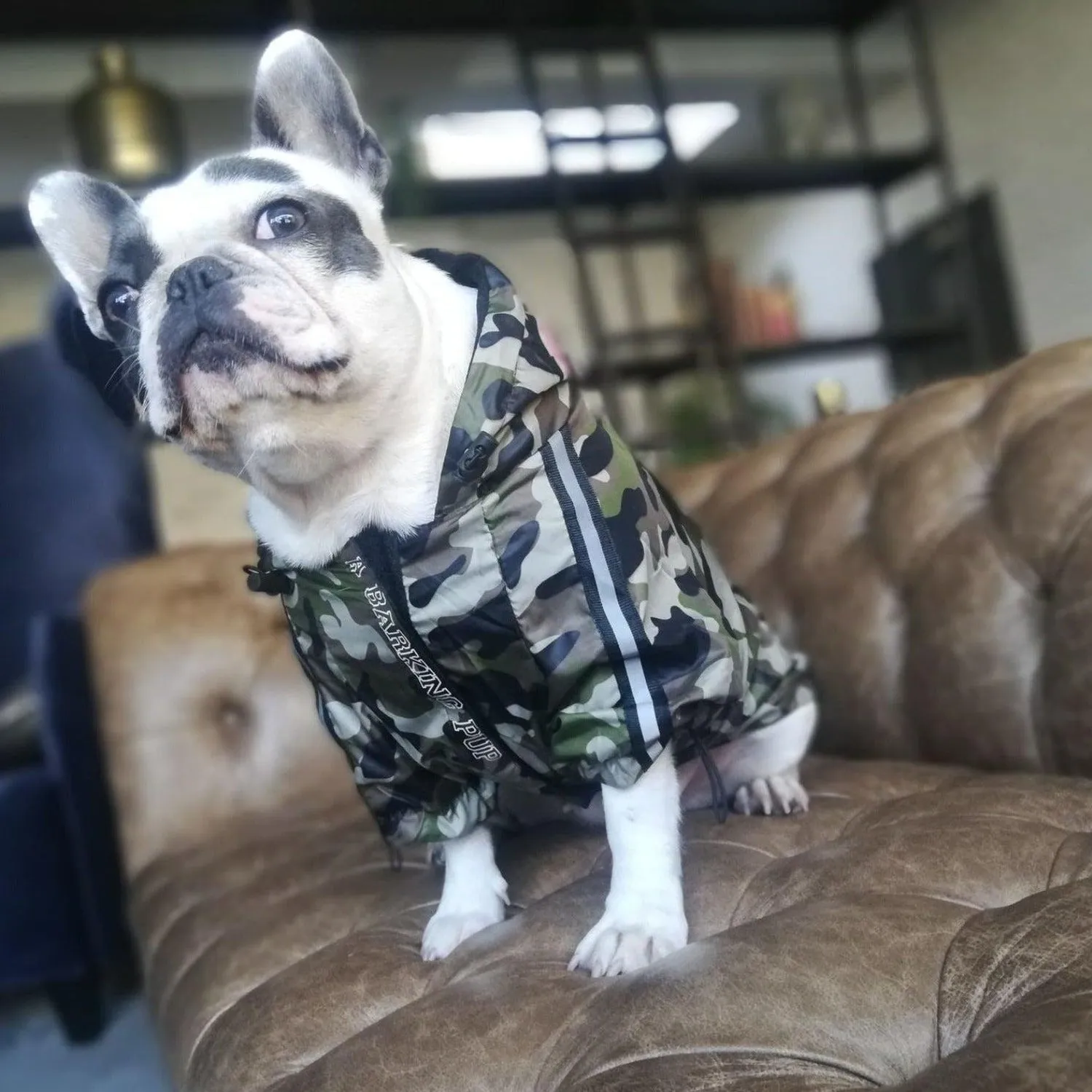 Camouflage Dog Raincoat