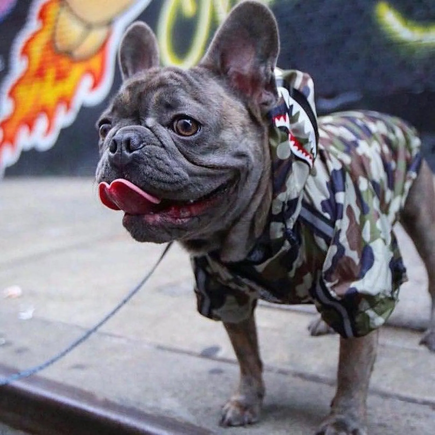 Camouflage Dog Raincoat