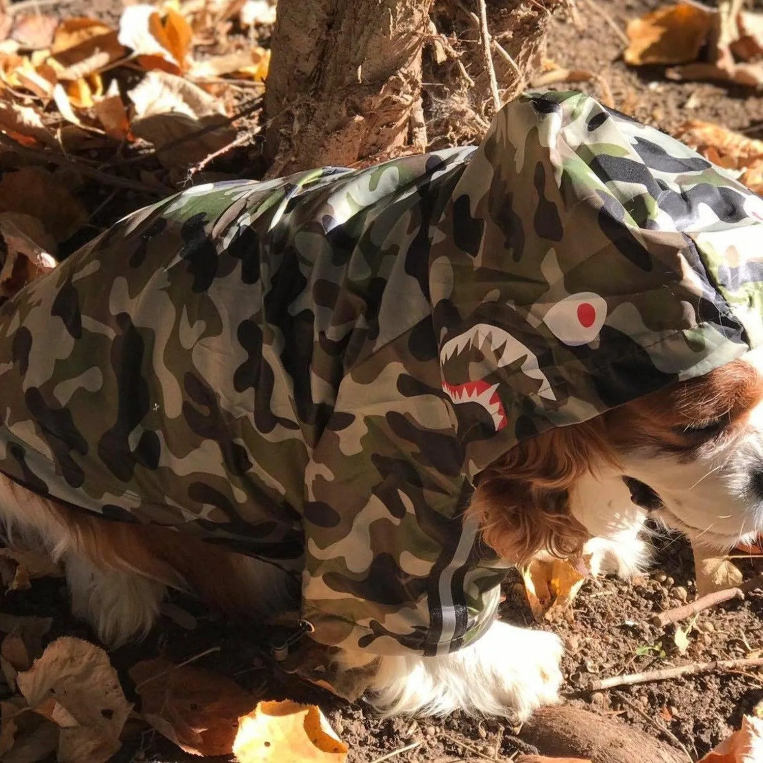 Camouflage Dog Raincoat