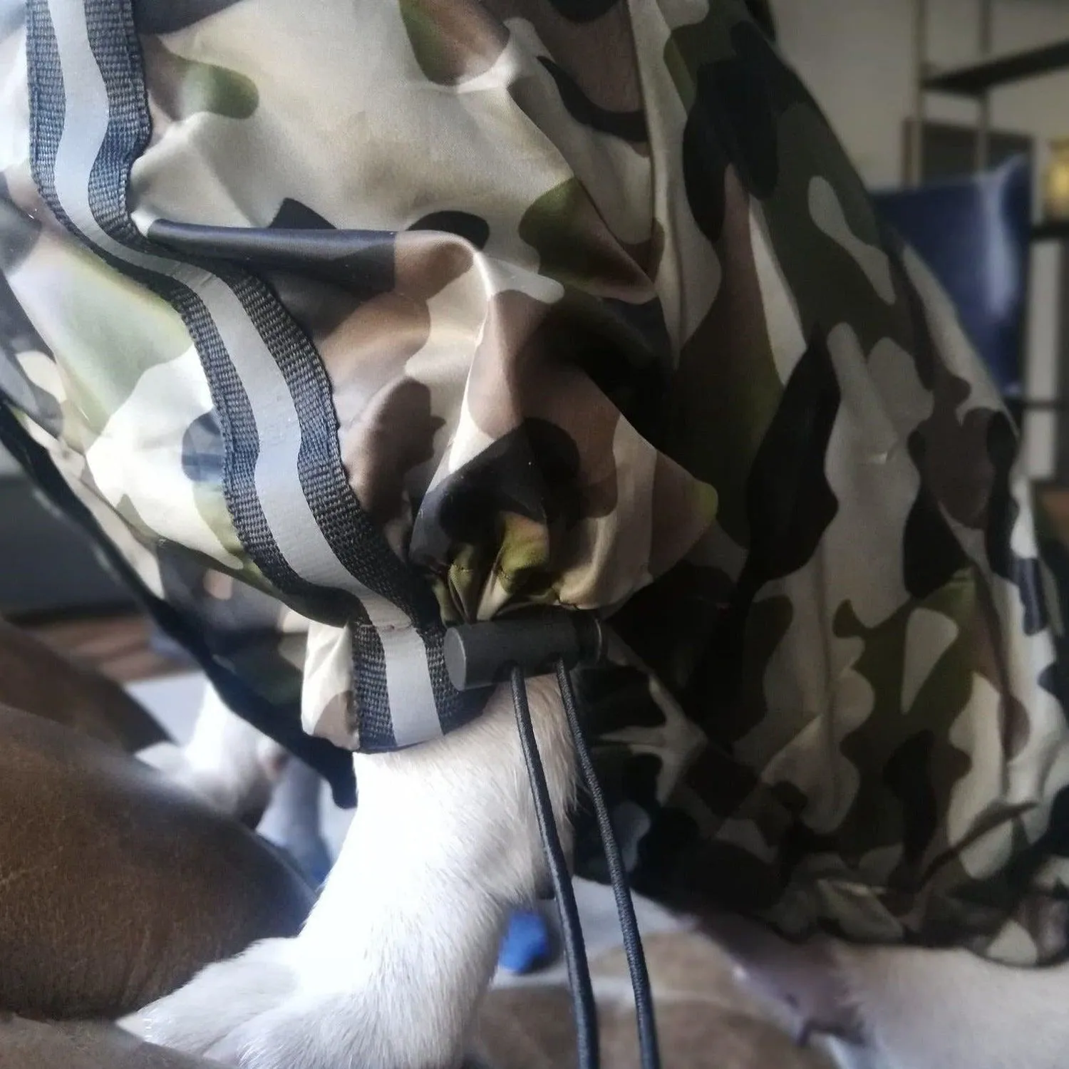 Camouflage Dog Raincoat