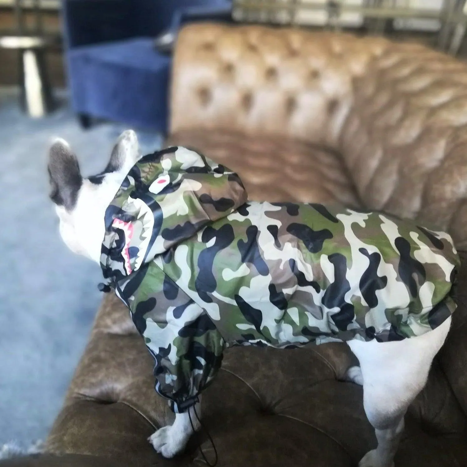 Camouflage Dog Raincoat