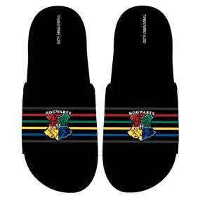 Harry Potter Beach Sliders