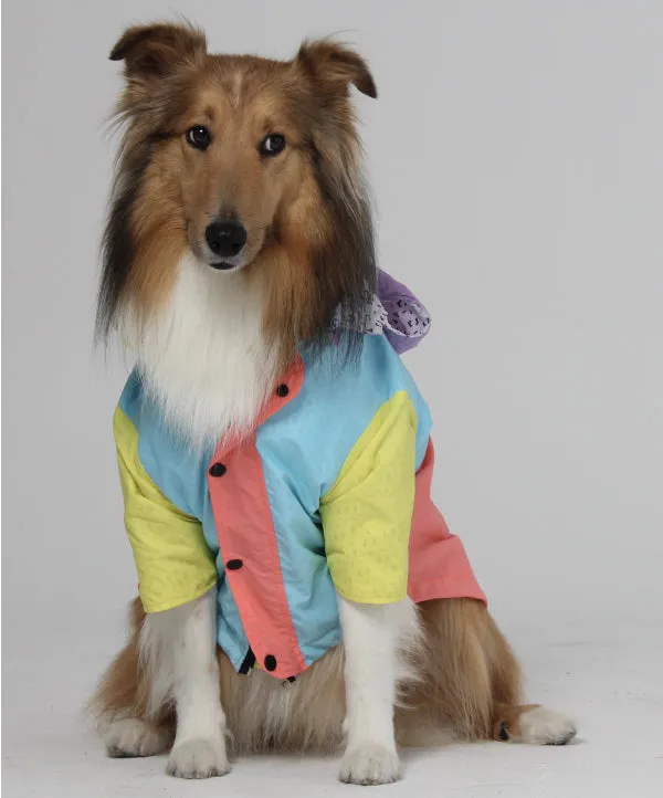 Pastel raincoat
