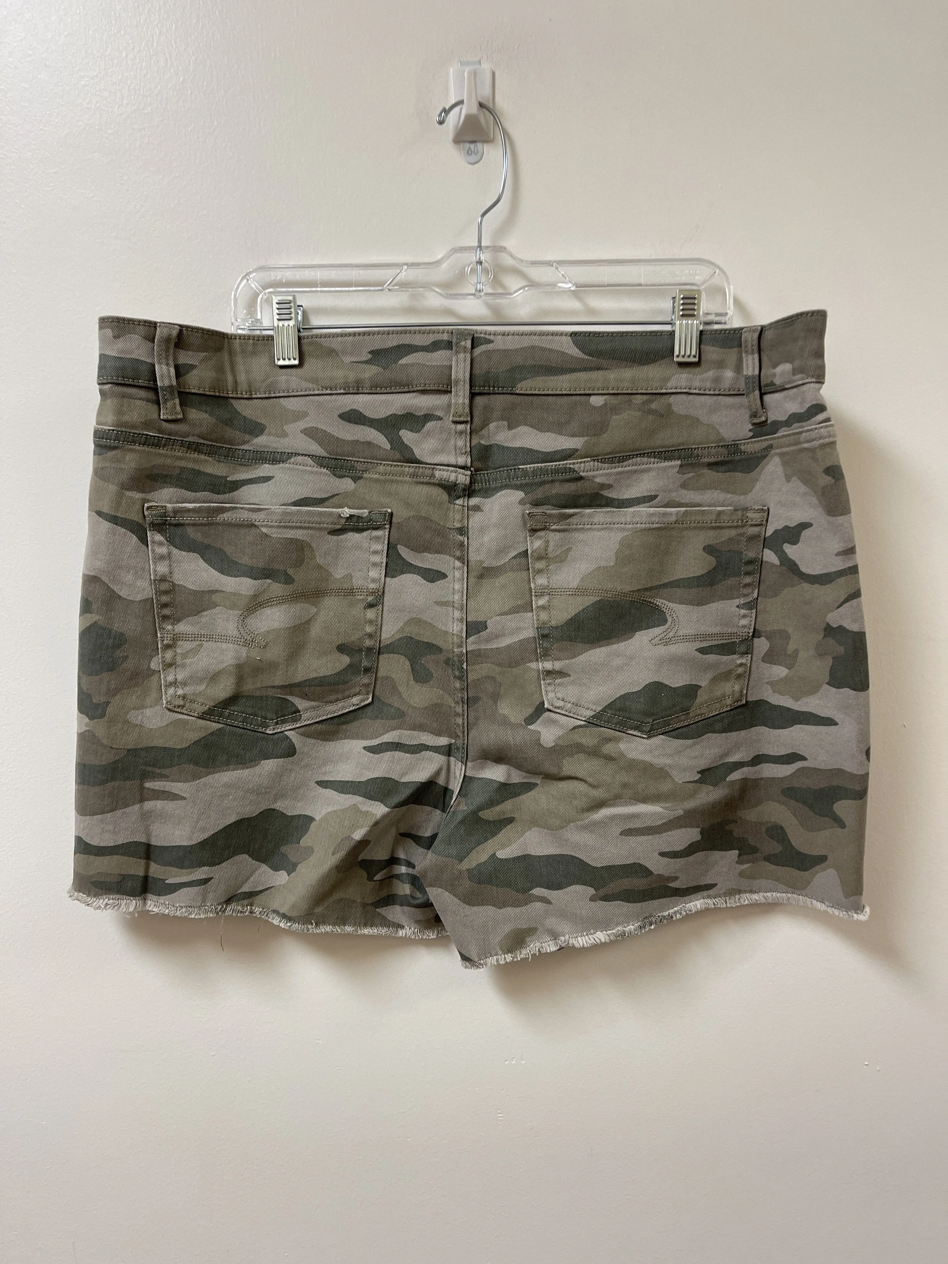 Shorts By Time And Tru  Size: 20